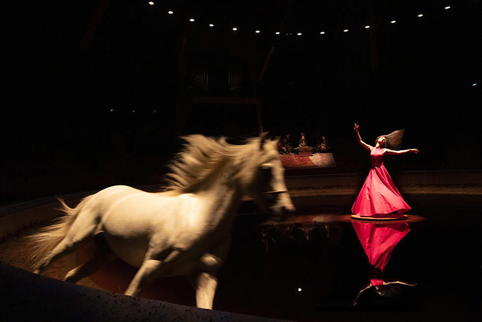 "Cabaret de l'exil, Femmes persanes" de Bartabas © Hugo Marty.